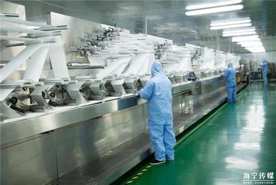 海宁企业逆境突围 年产值预计突破3亿，日用百货新品引领市场